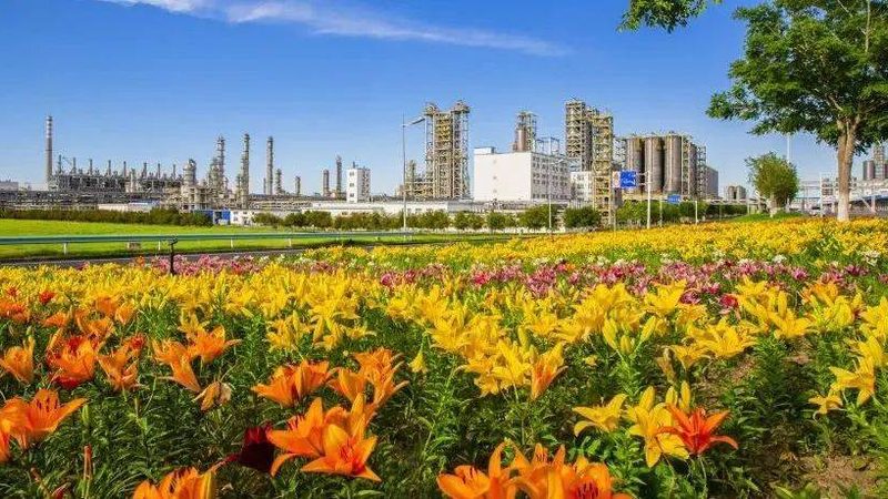 金属加工液消泡剂：定制配方的关键要素